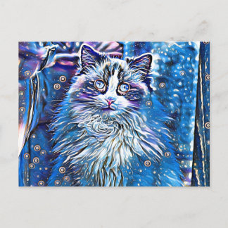 Ragdoll cute blue eyes postcard