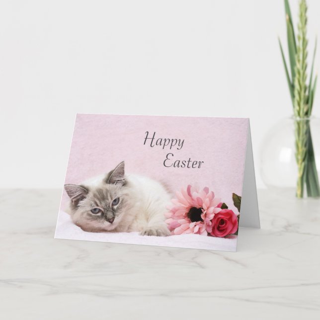 Ragdoll Easter Card (Front)