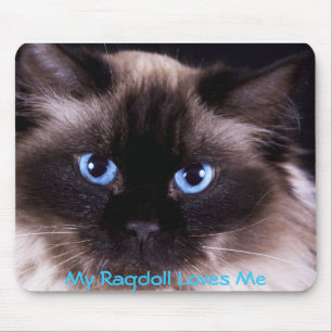 Ragdoll IPhone and IPad covers and Mouse Pad
