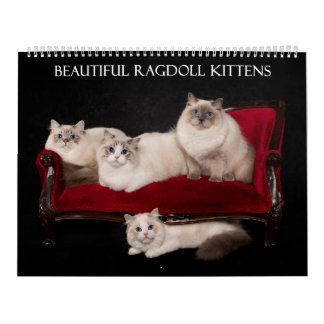 Ragdoll Kitten Calendar