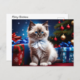 Ragdoll Kitten Christmas Present Holiday Postcard