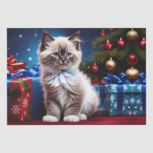 Ragdoll Kitten Christmas Present Tissue Paper