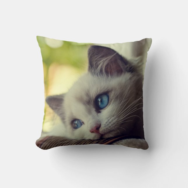 Ragdoll Kitten Cushion (Front)