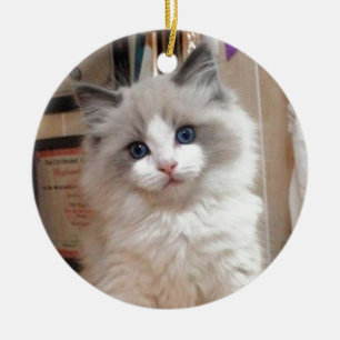 Ragdoll Kitten Cutie Ceramic Tree Decoration