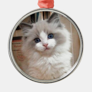 Ragdoll Kitten Cutie Metal Ornament
