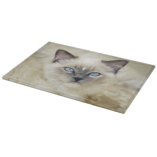 Ragdoll kitten cutting board