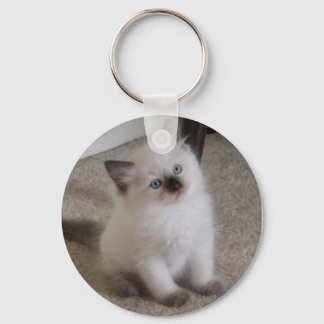Ragdoll Kitten Key Ring