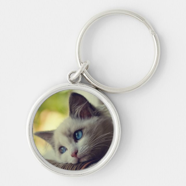 Ragdoll Kitten Key Ring (Front)