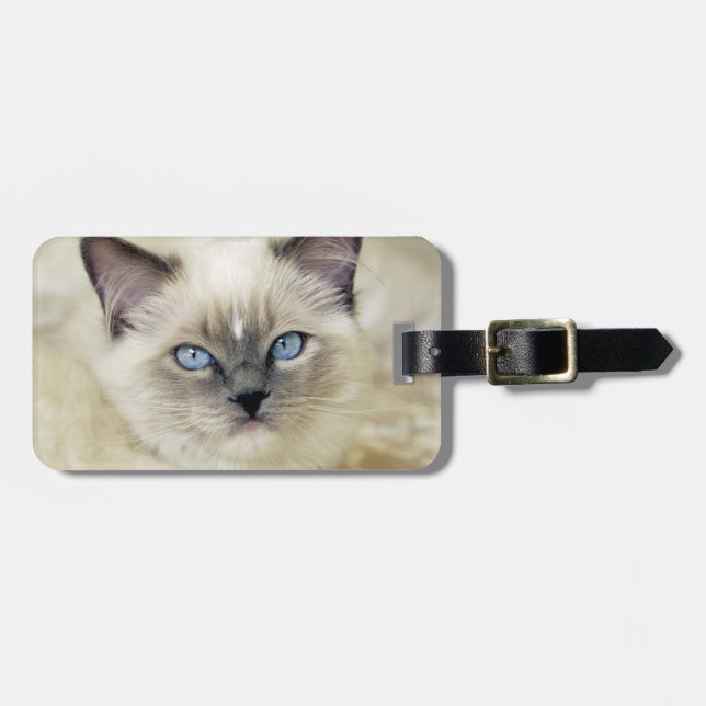 Ragdoll kitten luggage tag (Front Horizontal)
