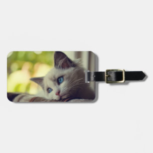 Ragdoll Kitten Luggage Tag