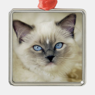 Ragdoll kitten metal tree decoration