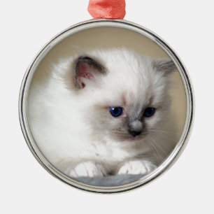 Ragdoll Kitten Metal Tree Decoration