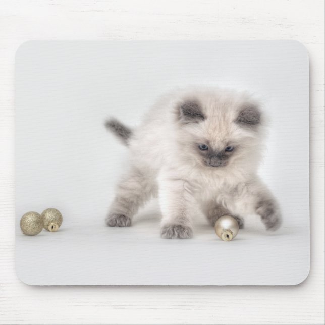 Ragdoll Kitten mousepad (Front)