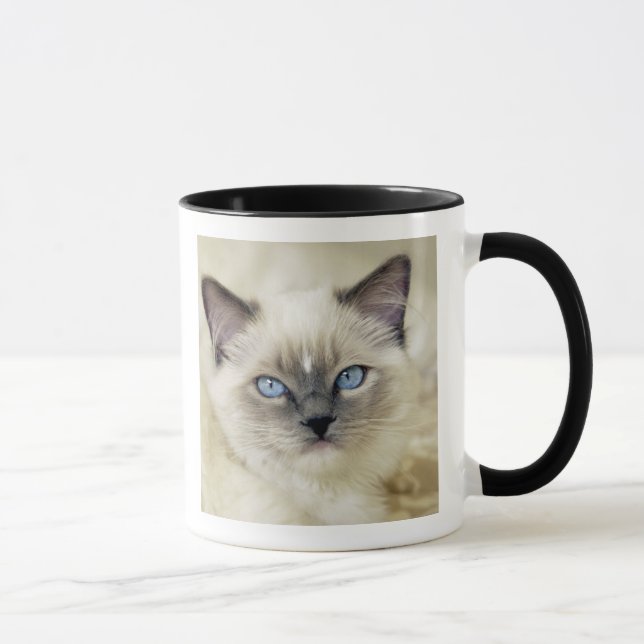 Ragdoll kitten mug (Right)