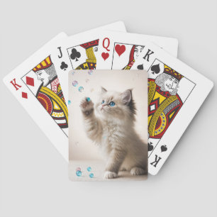 Ragdoll Kitten Playing With Bubbles Playing Cards