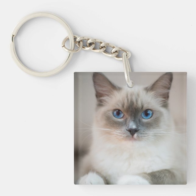 Ragdoll Kitten Portrait Key Ring (Front)