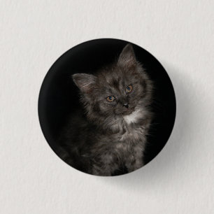 Ragdoll kitten ragdoll cat face black white kitty 3 cm round badge