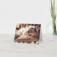 Ragdoll Kitten Sleeping On a Pillow