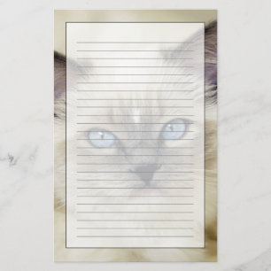 Ragdoll kitten stationery