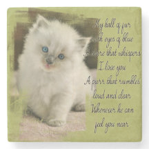 Ragdoll kitten stone coaster
