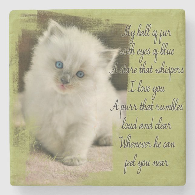 Ragdoll kitten stone coaster (Front)