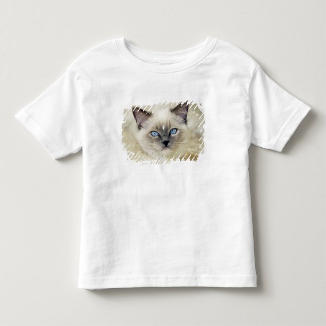 Ragdoll kitten toddler T-Shirt (Front)