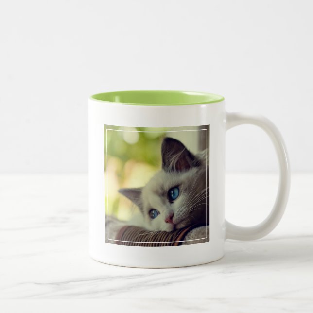Ragdoll Kitten Two-Tone Coffee Mug (Right)