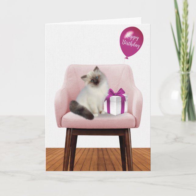 Ragdoll Kitten With Birthday Gift Card (Front)