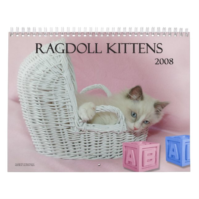 Ragdoll Kittens Calendar (Cover)