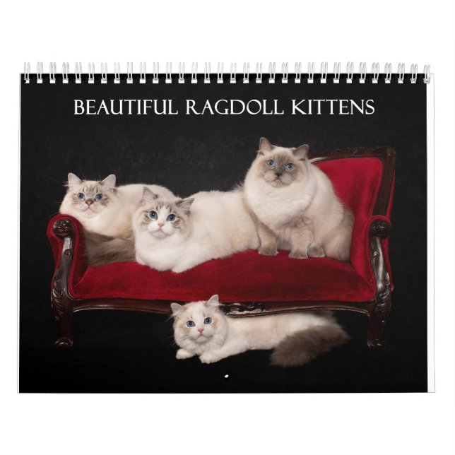 Ragdoll Kittens Calendar (Cover)