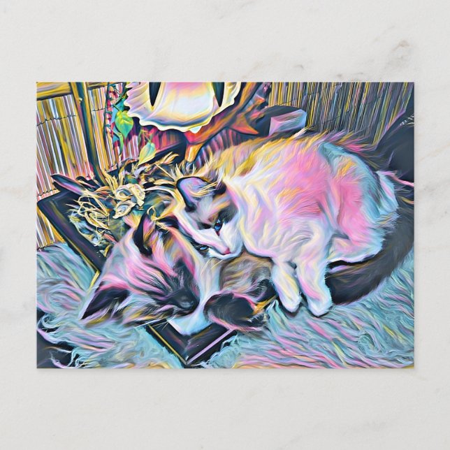 Ragdoll Kittens Postcard (Front)