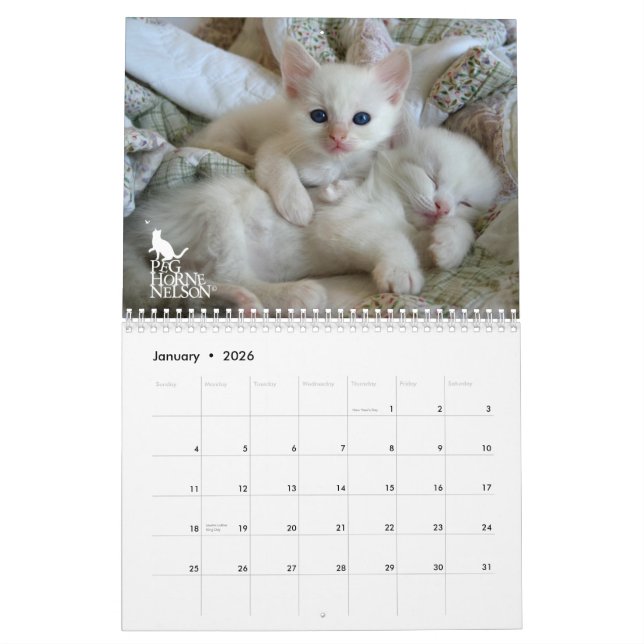 Ragdoll Kittens Vol. One Calendar (Jan 2026)