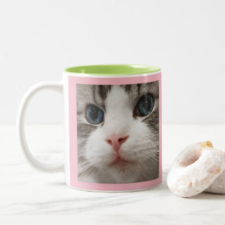 Ragdoll Kitty Two-Tone Coffee Mug