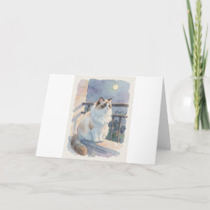 Ragdoll Moonlit Balcony Gaze Greeting Card