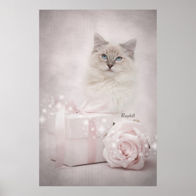 Ragdoll Poster (Front)