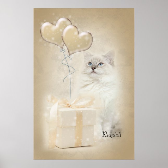 Ragdoll poster (Front)