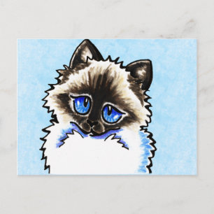 Ragdoll Ragamuffin Illustrated Postcard