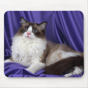 Ragdoll, seal bi-colour mouse pad