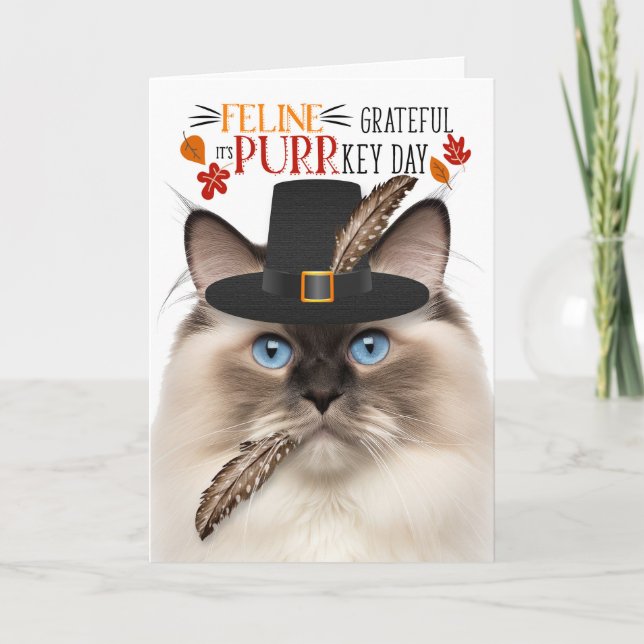 Ragdoll Seal Point Cat Grateful for PURRkey Day Holiday Card (Front)
