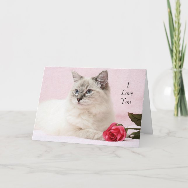 Ragdoll Valentine Card (Front)