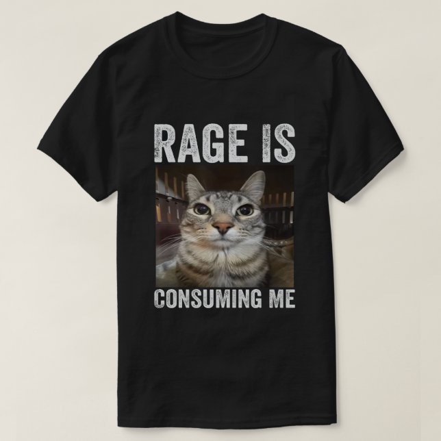 Rage Is Consuming Me Cat Meme T-Shirt (Design Front)
