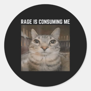 Rage Is Consuming Me Meme Cat Meme Oddly Specific  Classic Round Sticker