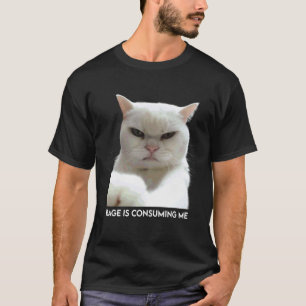 Rage Is Consuming Me Meme Cat Meme Oddly Specific T-Shirt