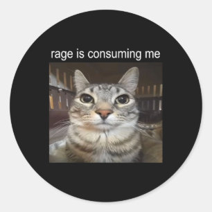 Rage Is Consuming Me Silly Staring Cat Meme  Classic Round Sticker
