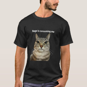 Rage Is Consuming Me Silly Staring Cat Meme Funny T-Shirt