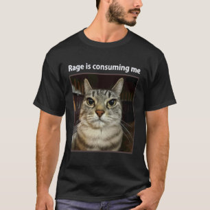 Rage Is Consuming Me Silly Staring Cat Meme Funny T-Shirt
