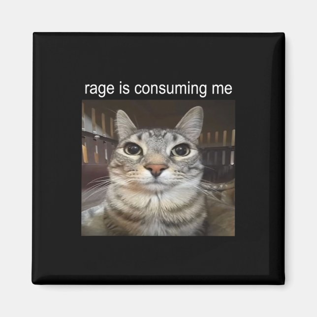 Rage Is Consuming Me Silly Staring Cat Meme  Magnet (Front)