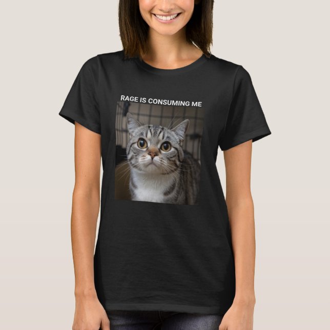 Rage Is Consuming Me Silly Staring Cat Meme T-Shirt (Front)