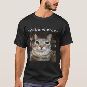 Rage Is Consuming Me Silly Staring Cat Meme  T-Shirt