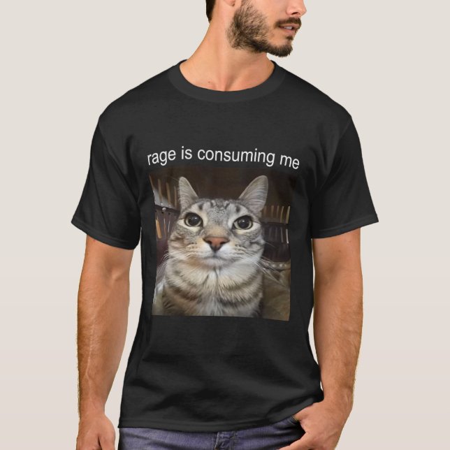 Rage Is Consuming Me Silly Staring Cat Meme  T-Shirt (Front)